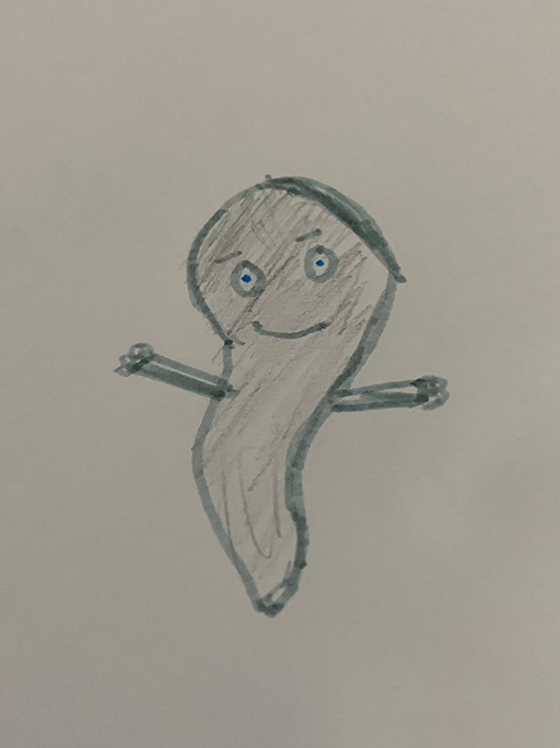 Example 5